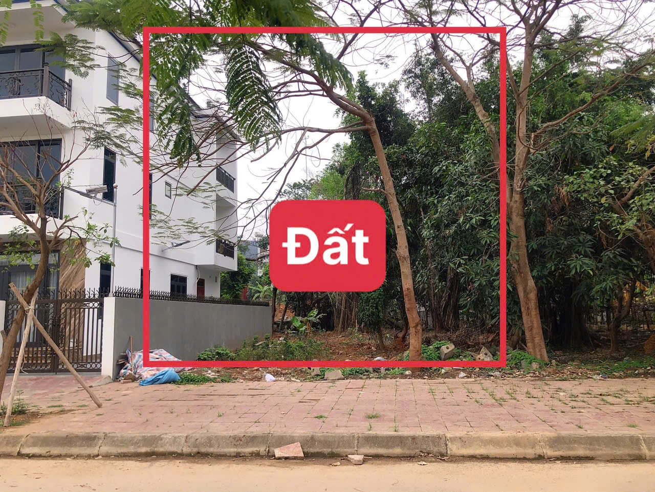 13261449548708415 (1)